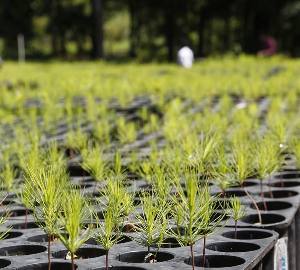 acercadenosotros3-min