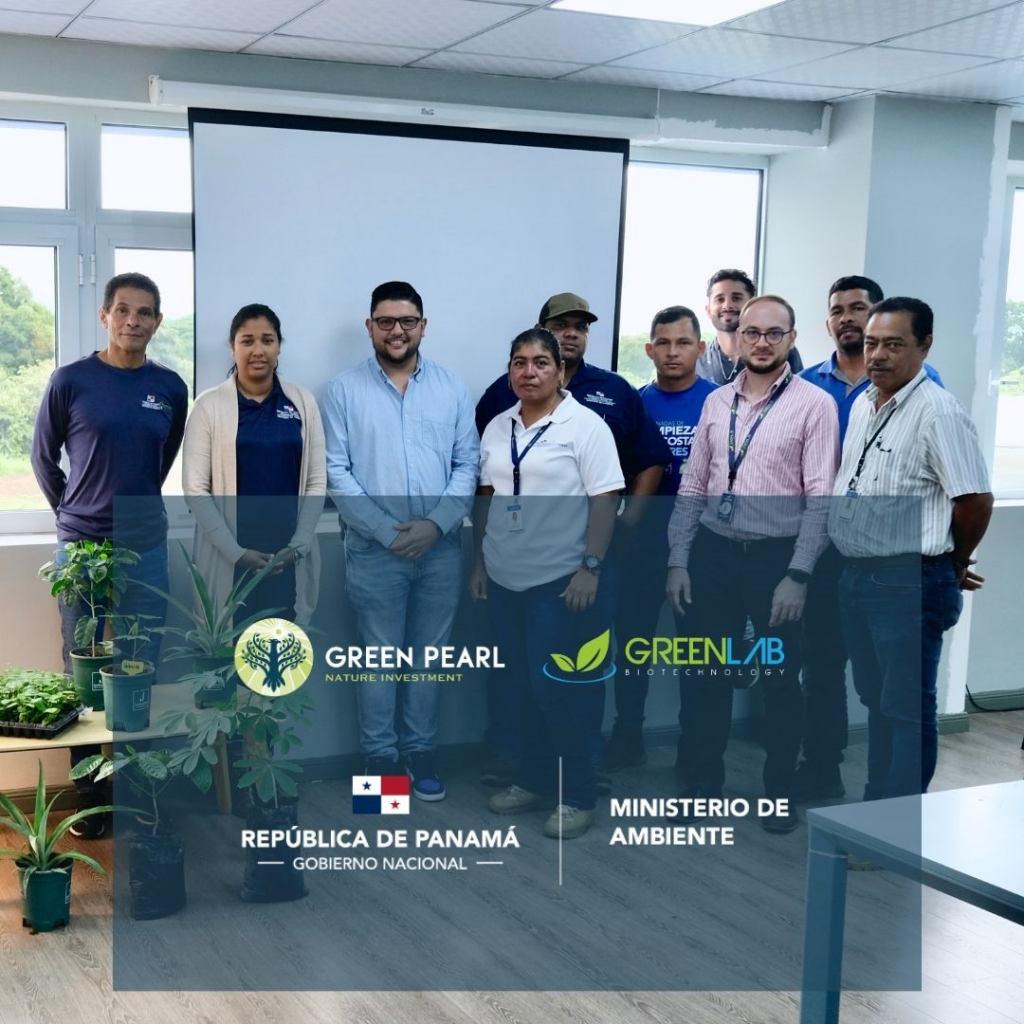 Dirección forestal en reunión con GreenLab y Green Pearl Corp