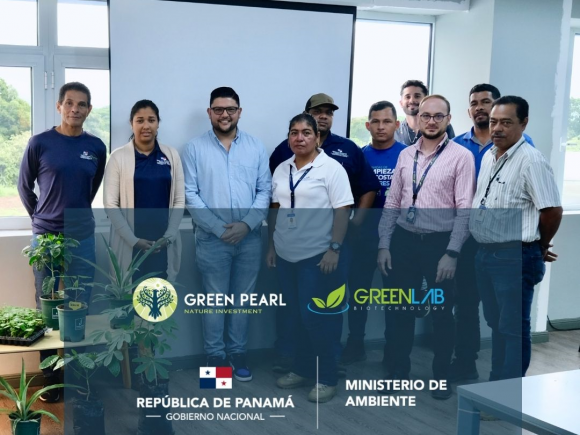 Dirección forestal en reunión con GreenLab y Green Pearl Corp