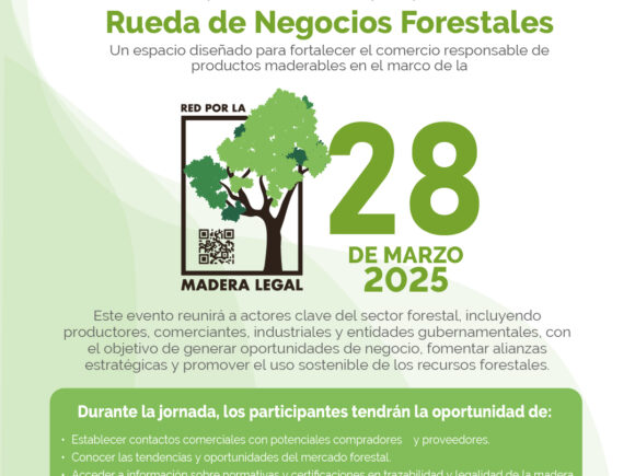 Rueda de negocios forestales