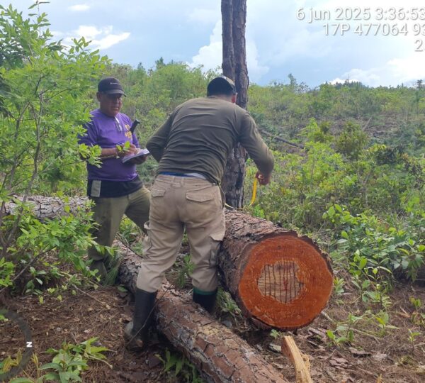 foresteria_comunity-losvalles2