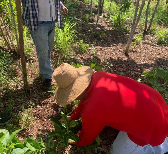 foresteria_comunity-losvalles5