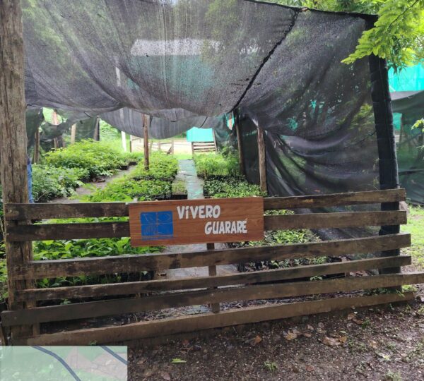 TimePhoto_20250617_074452