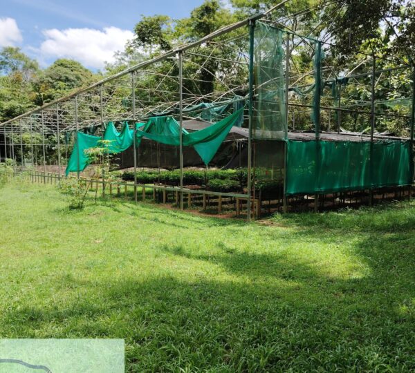 TimePhoto_20250618_114856