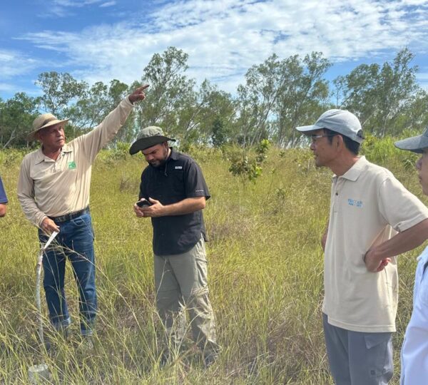 Toma de datos forestales