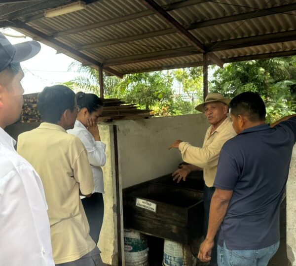 Explicación en campo